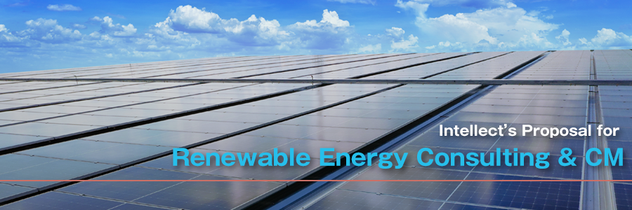 Renewable Energy Consulting & CM
