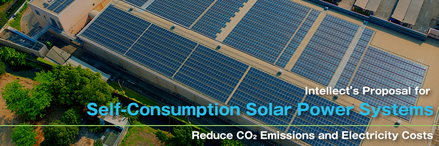 Self-Consumption Solar Power Systems